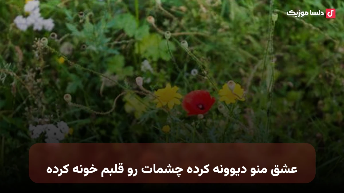 عشقت منو دیوونه کرده چشمات رو قلبم خونه کرده با صدای زن